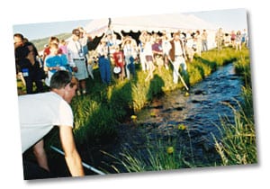 Duck races